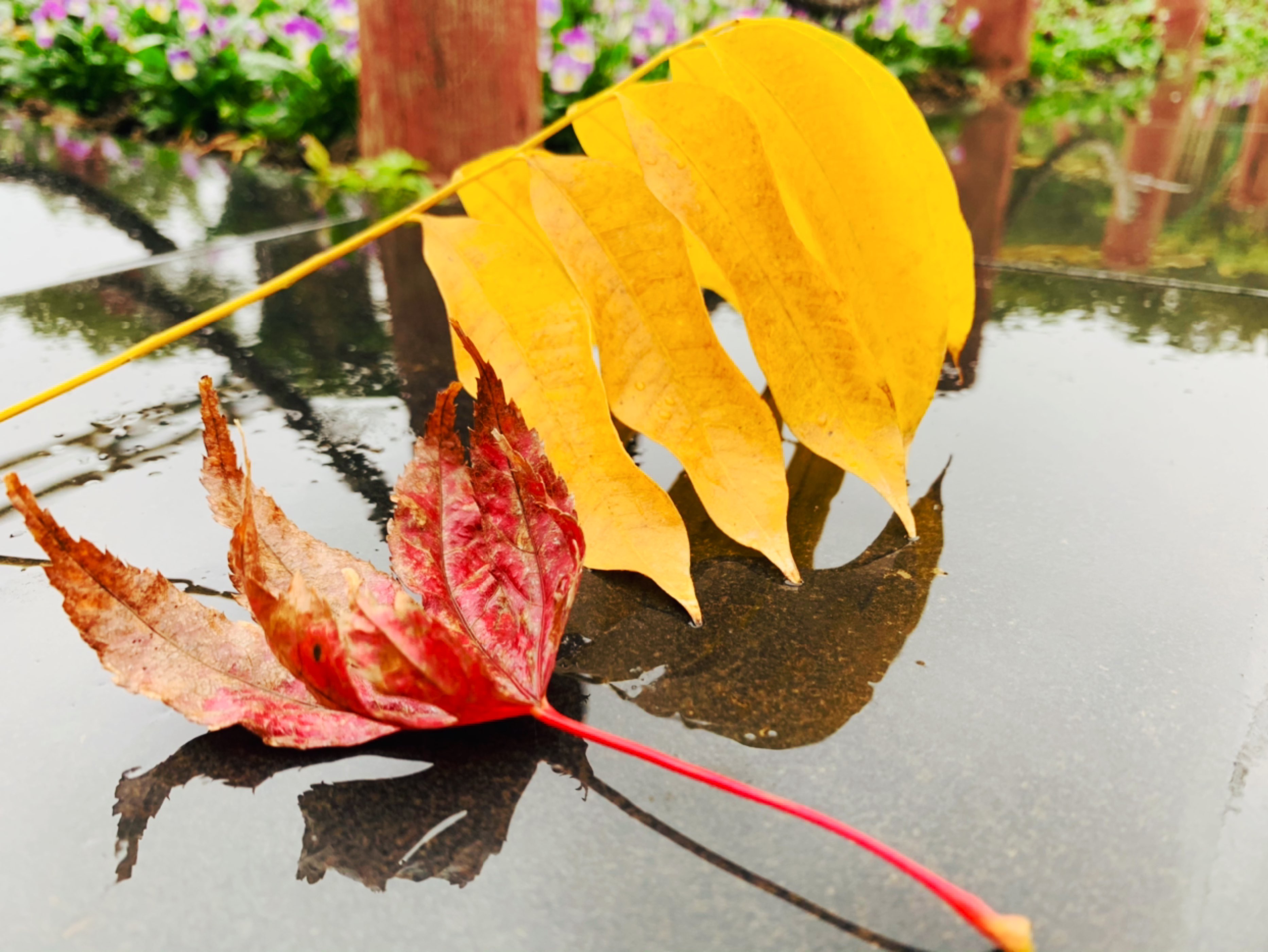 刮风下雨太难了