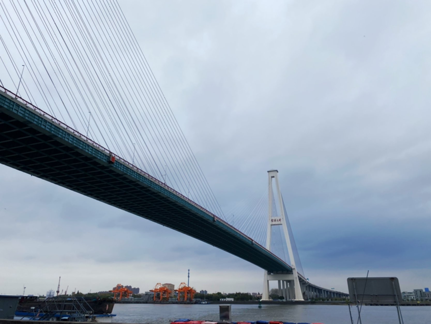 浦东滨江贯通直到南墙不撞南墙不回头