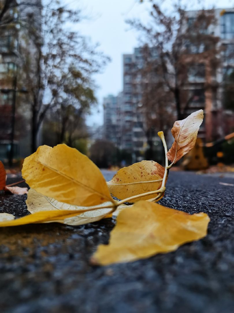 下著毛毛雨,感受冬天裡的溫度,跑步