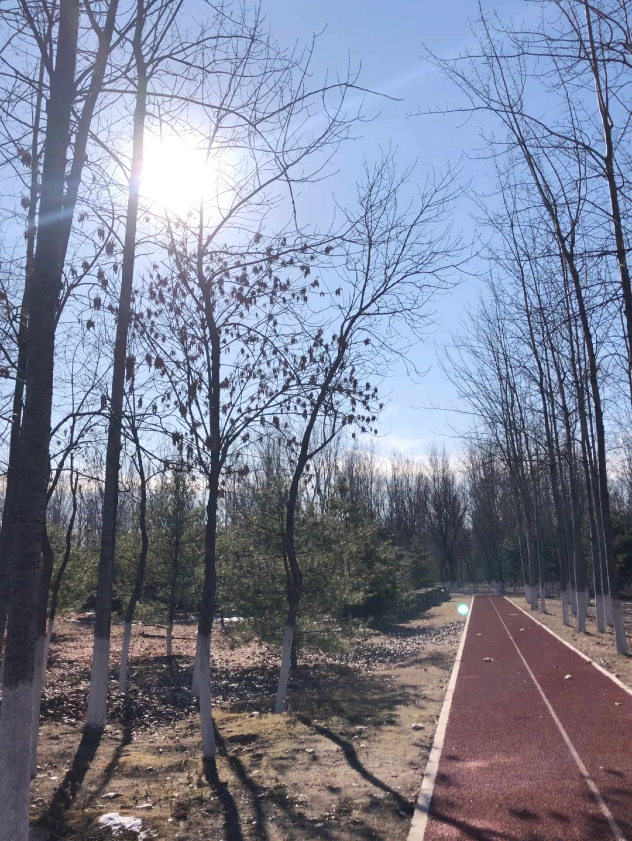 晴朗的天氣下跑步是一件快樂的事情,陽光帶給我們希望與活力,今天在這