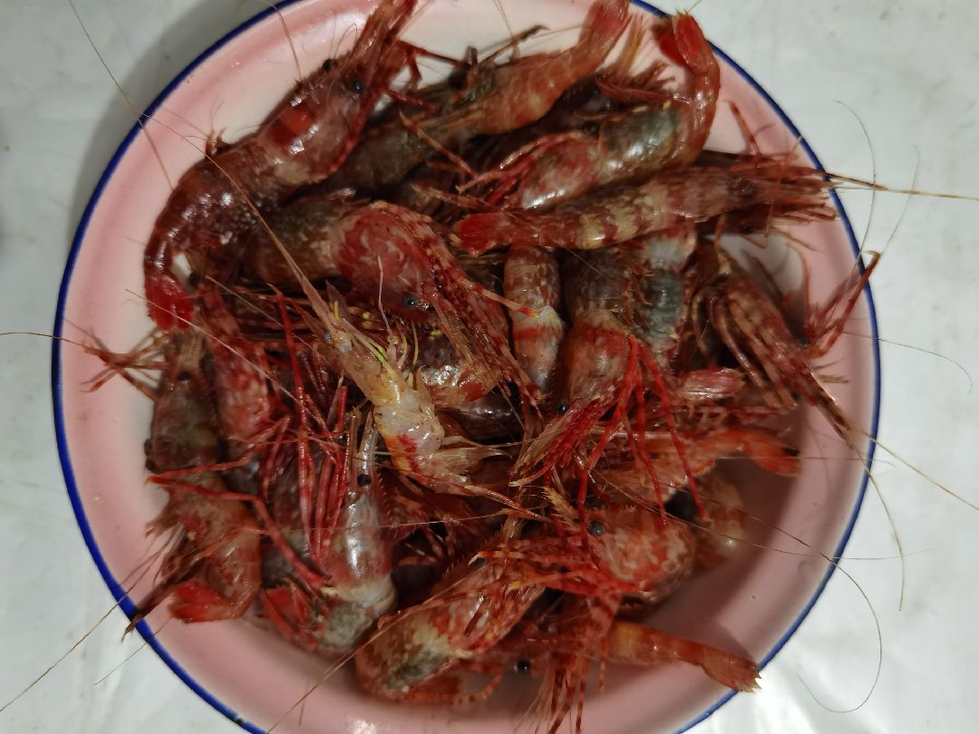 大爱桃花虾_keep