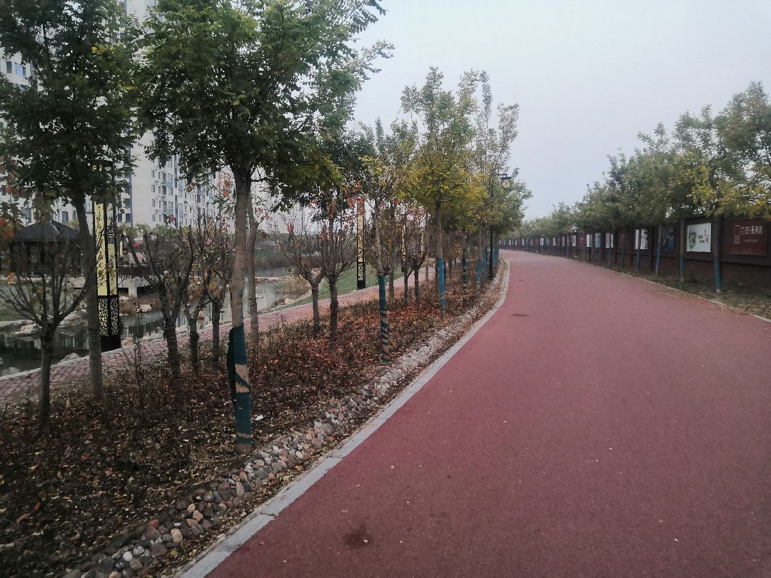 独享清晨河边跑道