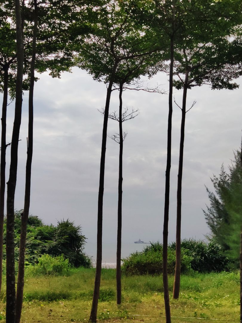 我在南方的艳阳天