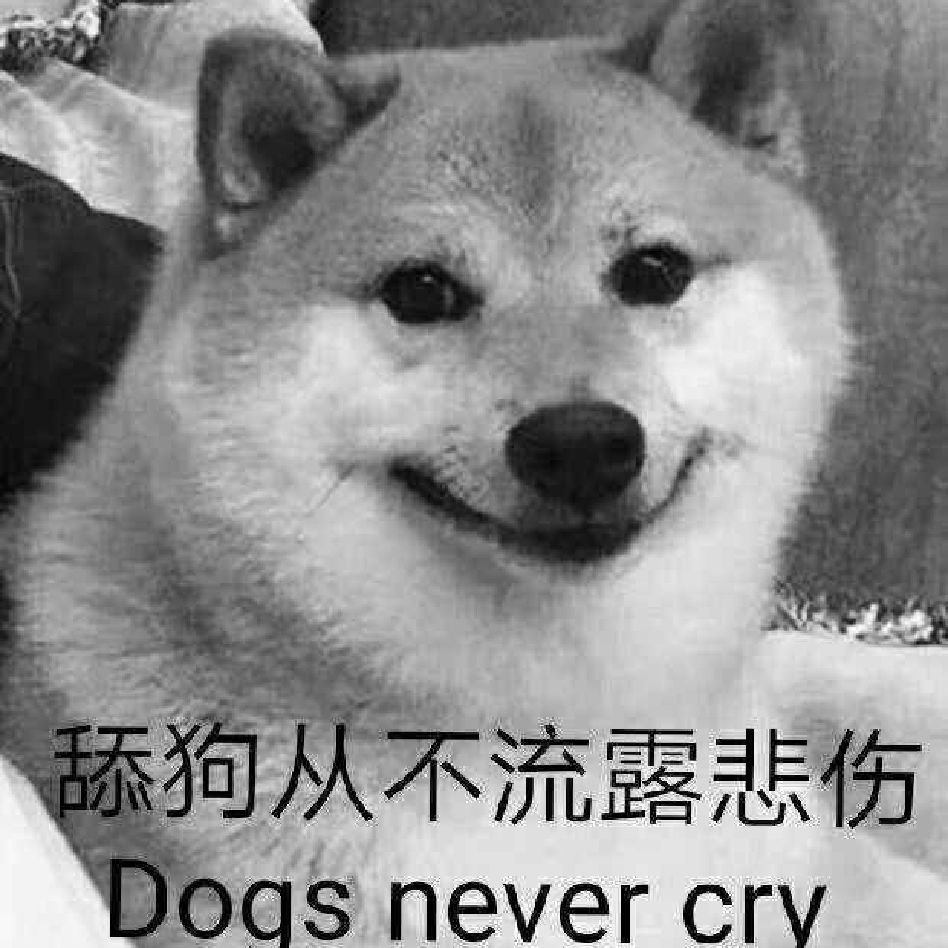 舔狗舔狗,舔到最后一无所有