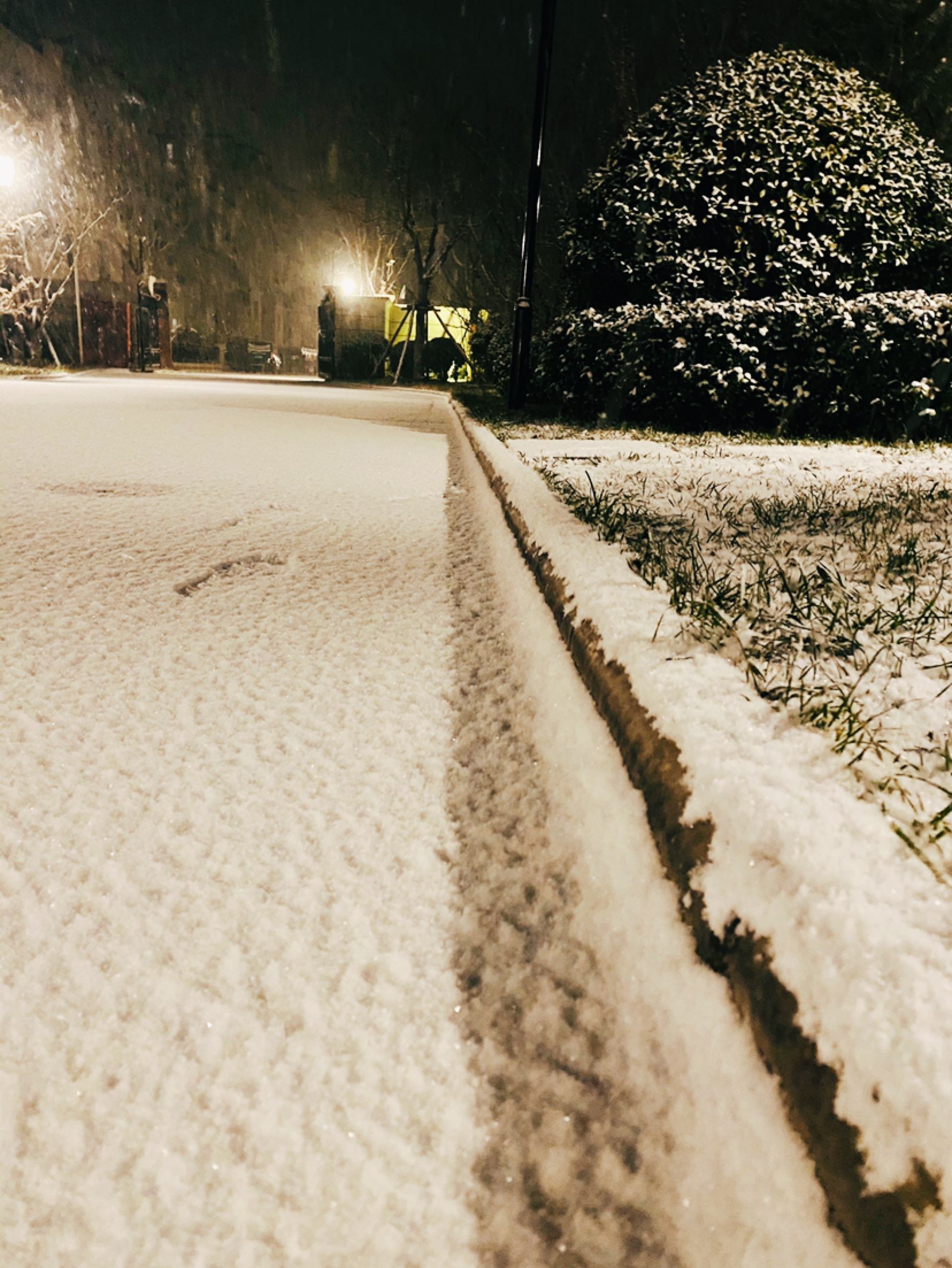 同淋一场雪与君共白头