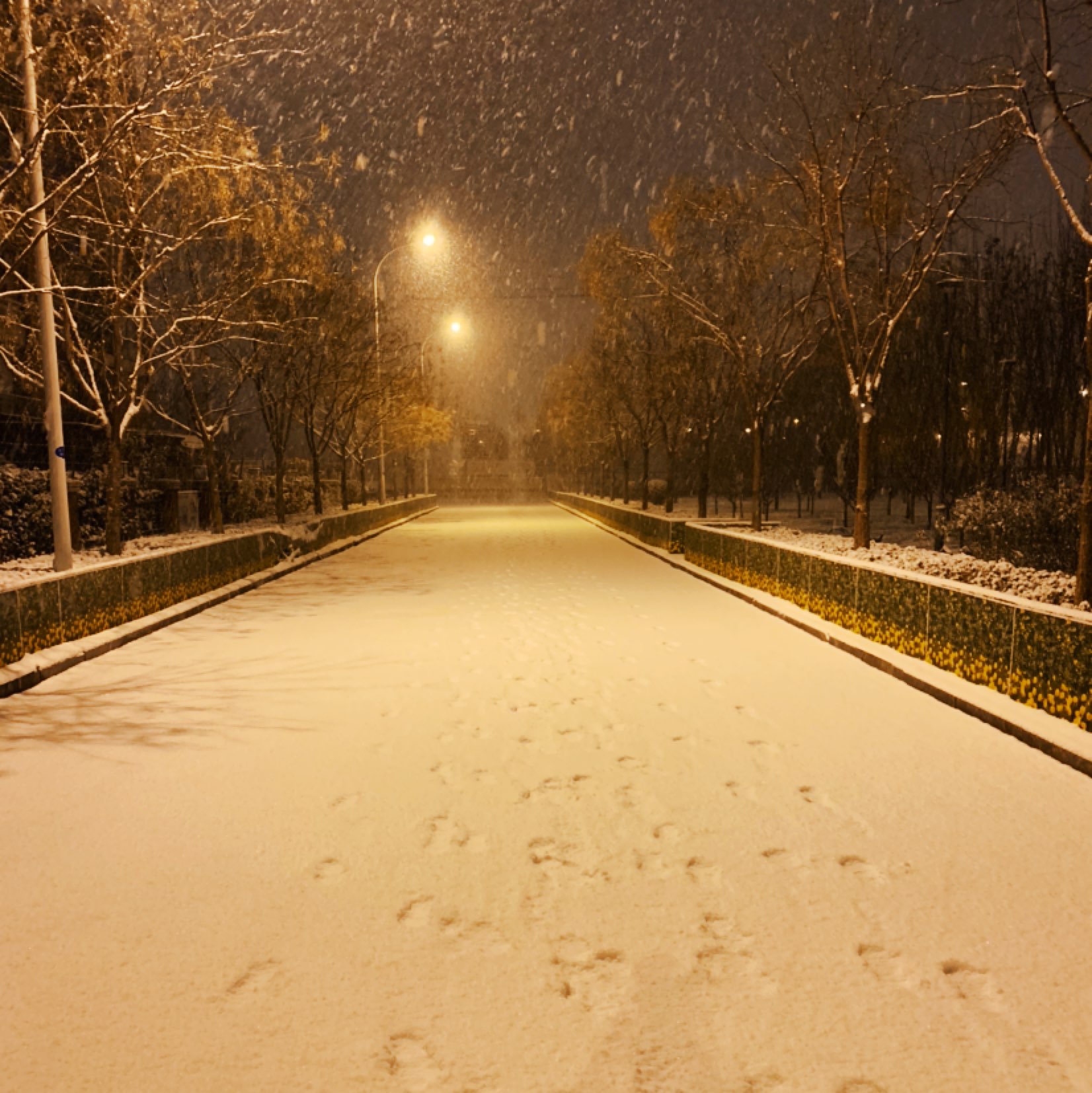 夜晚雪地 脚印图片