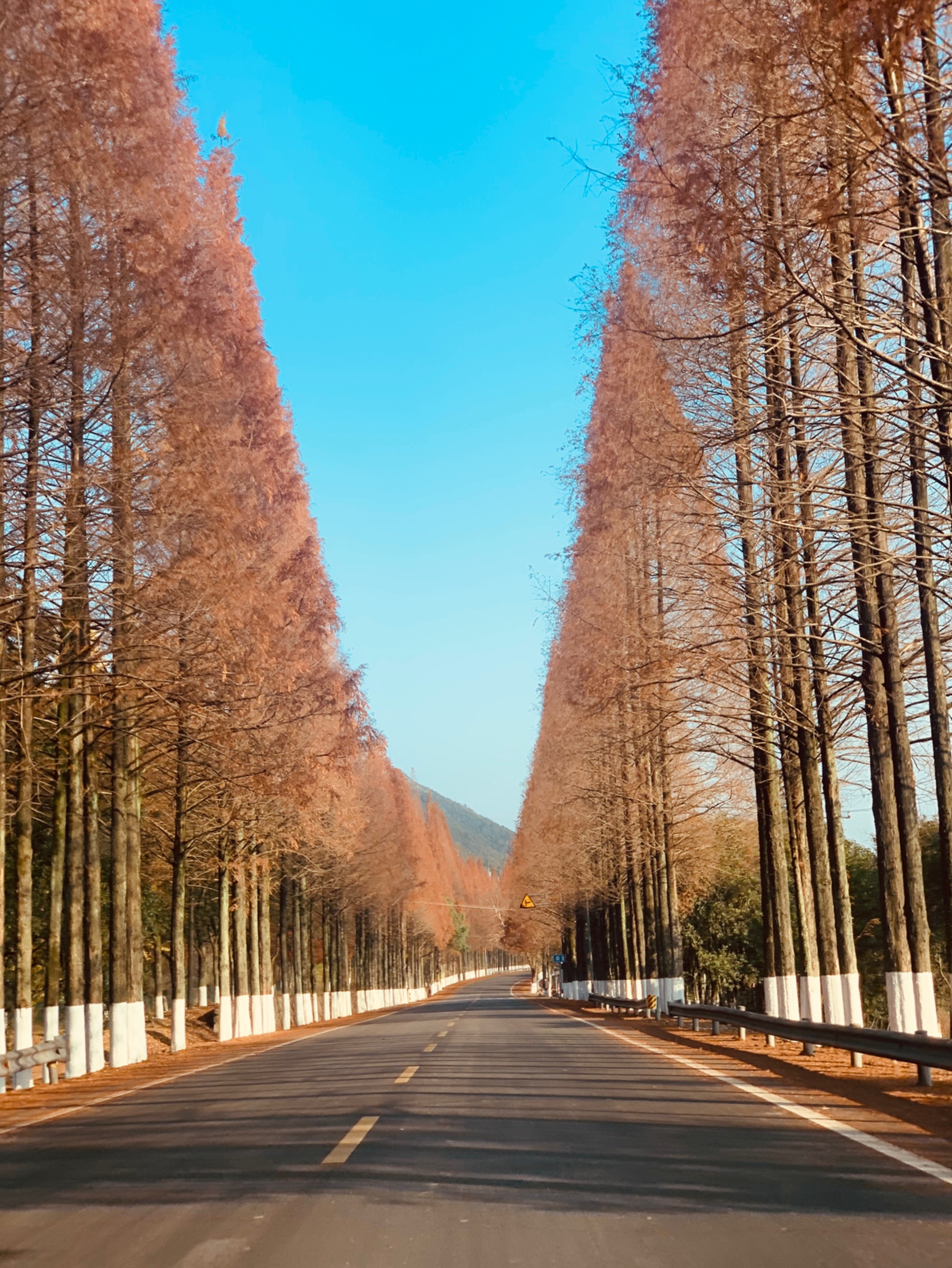 宁海最美公路,早上随手拍