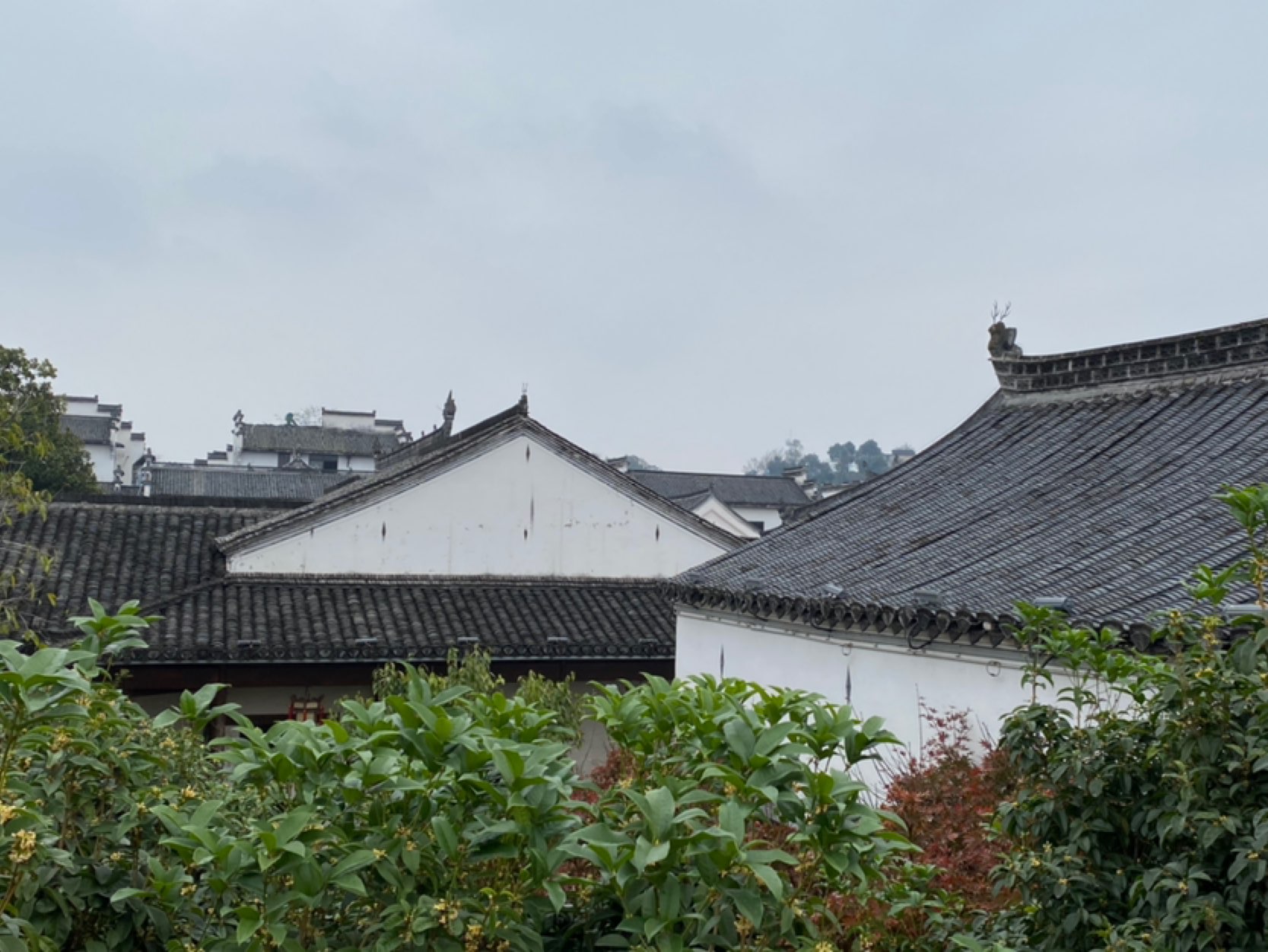灰墙黑瓦的古徽州
