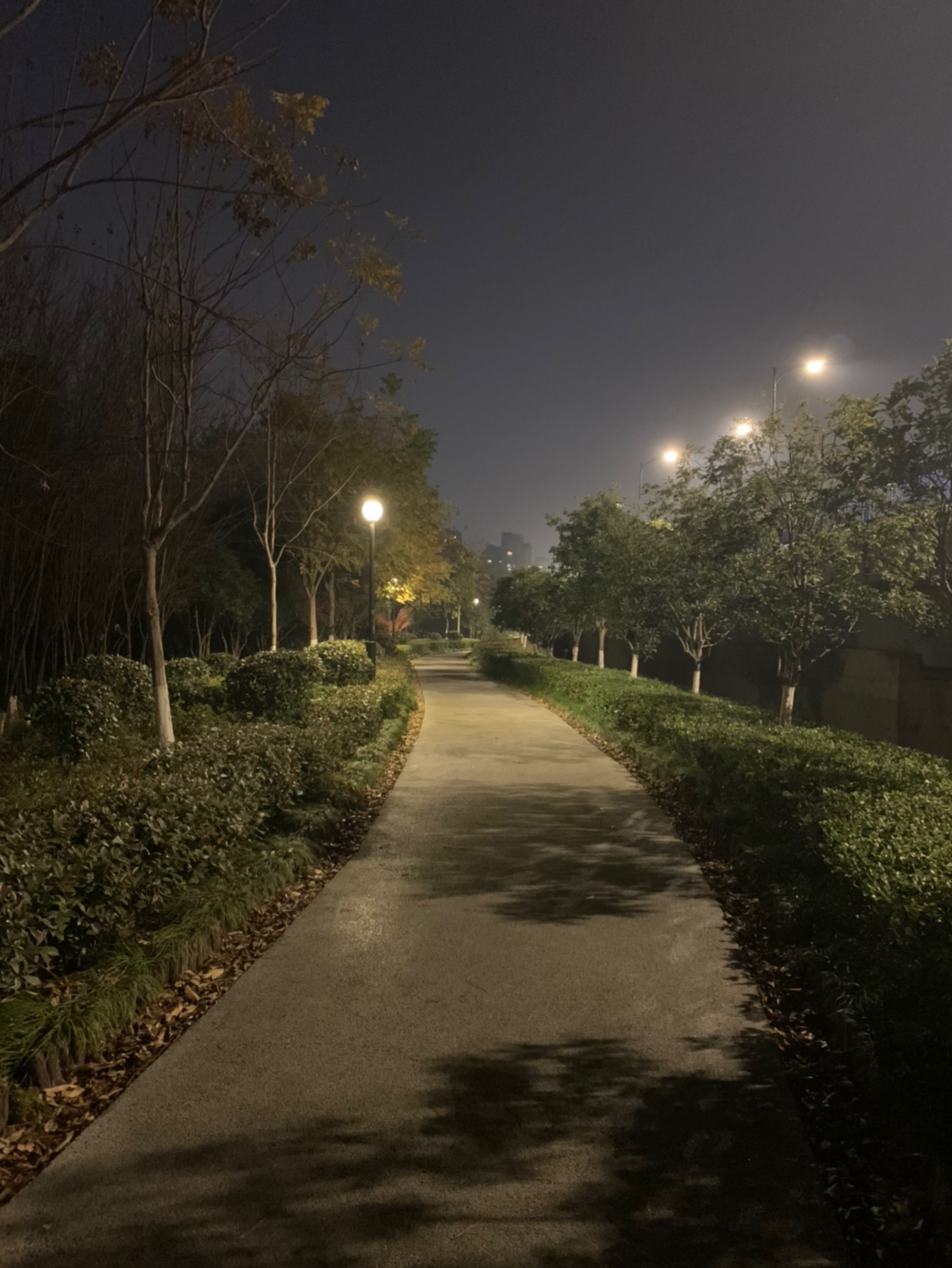 跑過春夏,也即將跑過秋冬,用一個輕鬆夜跑結束週末