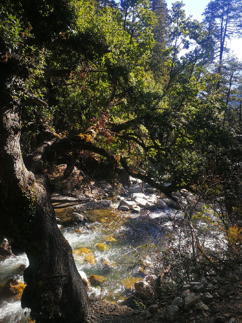 雨崩-尼农尼农大峡谷,澜沧江,好壮丽