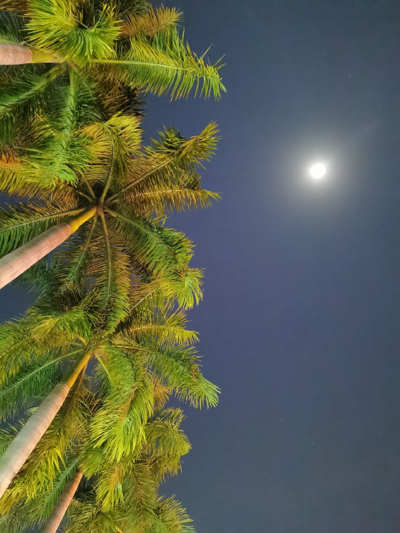 打卡完毕 今晚的月亮好圆好亮我拍的靓么