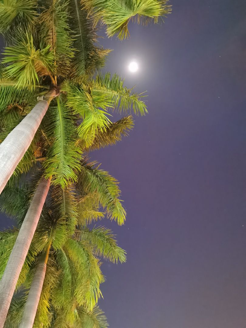 打卡完毕 今晚的月亮好圆好亮我拍的靓么