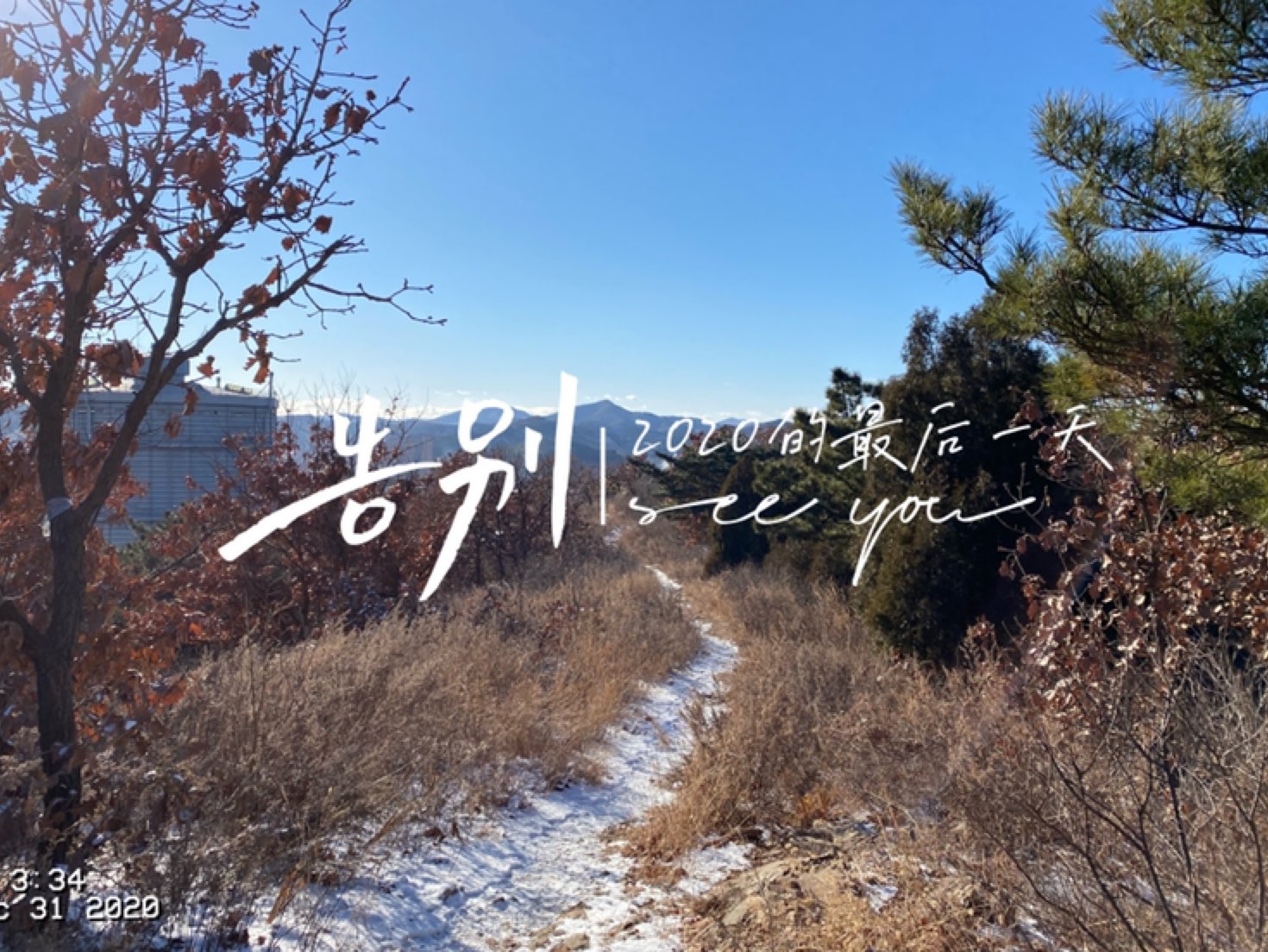 下来的美好的时光,给这个不平凡的2020年增添了很多亮一年最后一天