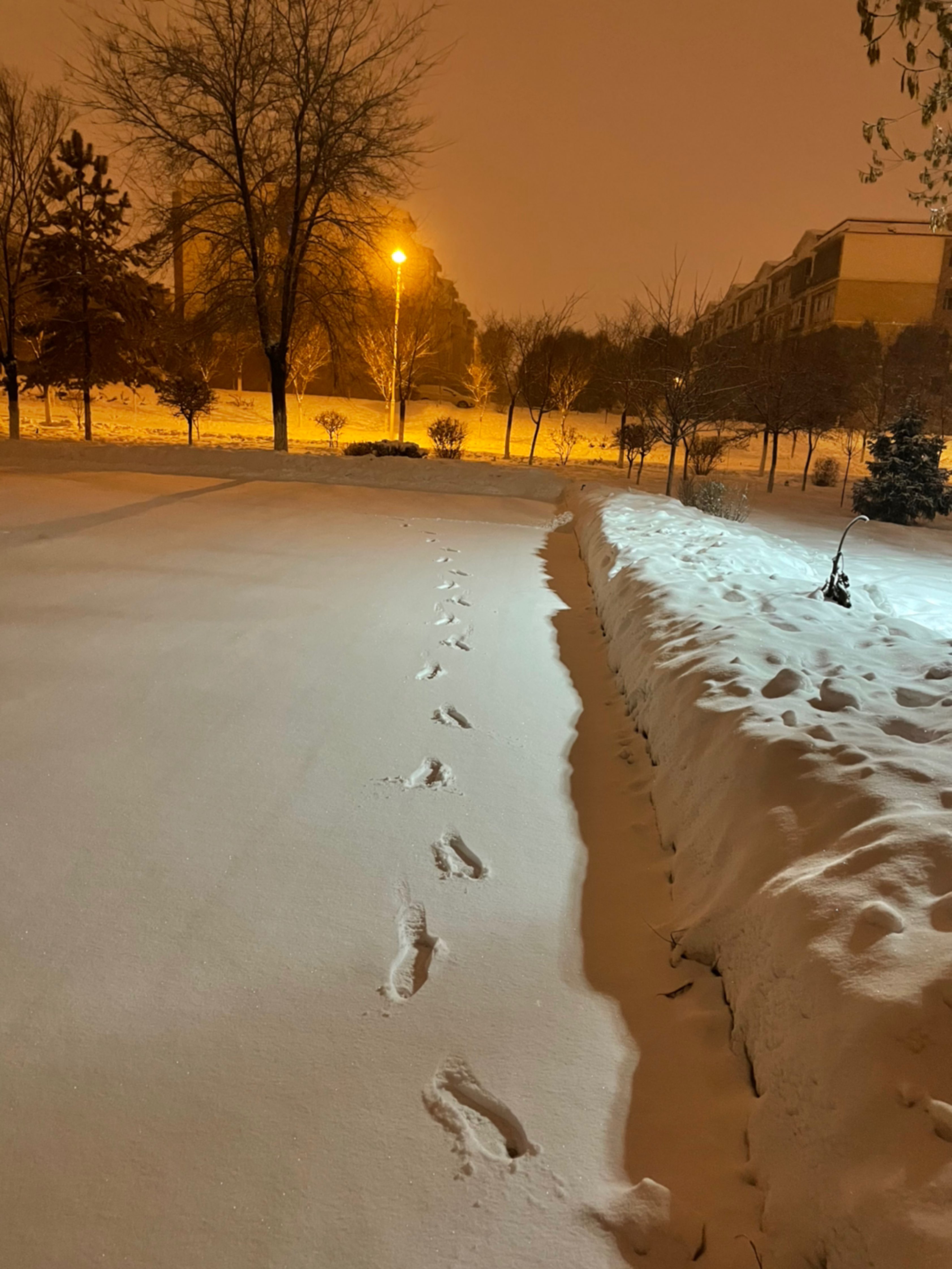 夜晚雪地 脚印图片