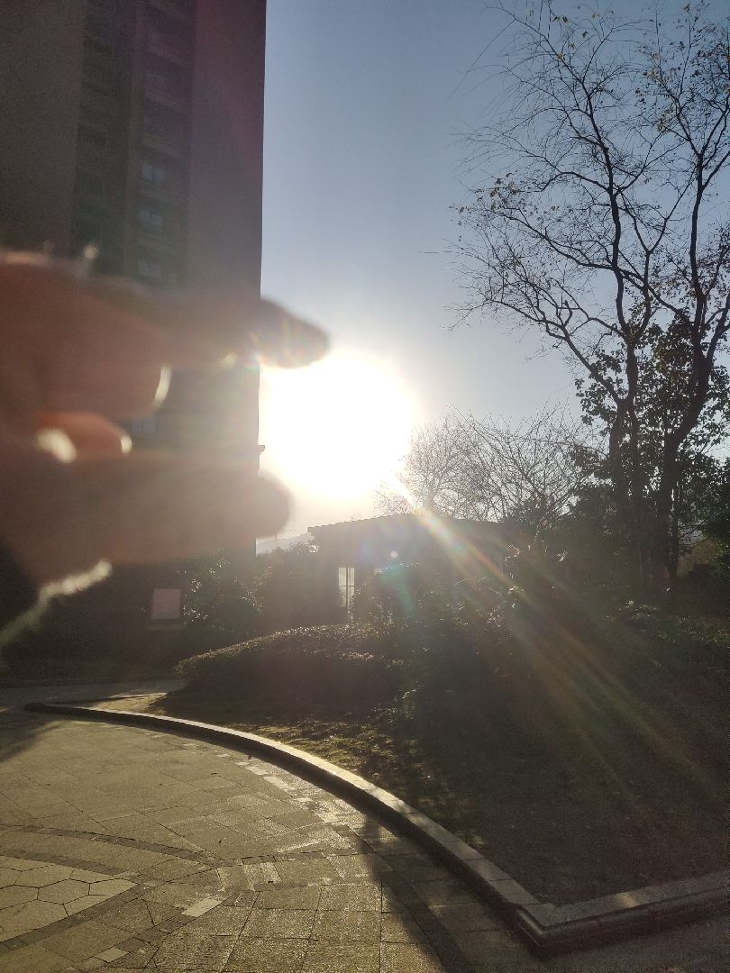 阳光明媚,是个不可辜负的好天气