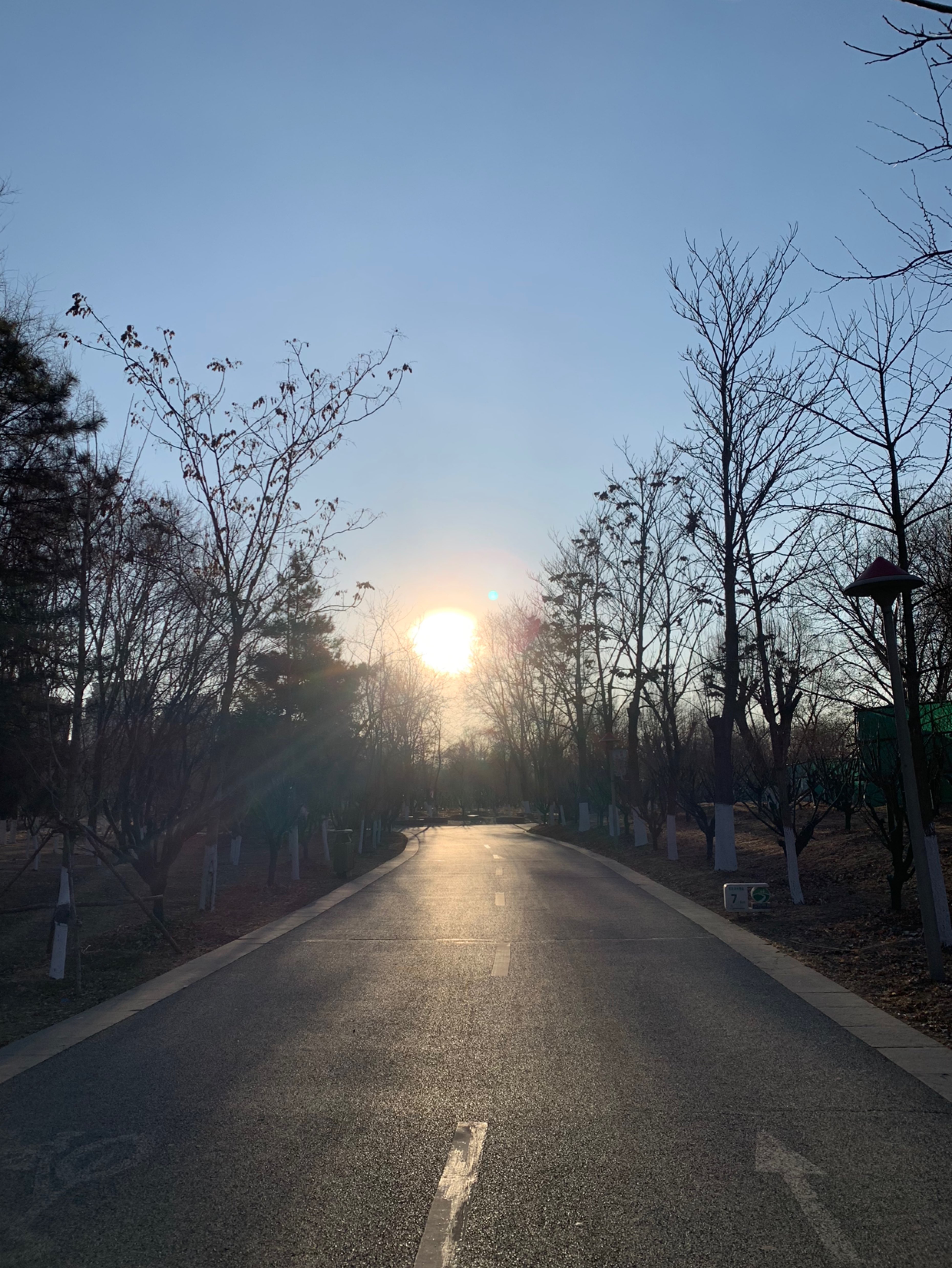 心系阳光努力向前吧