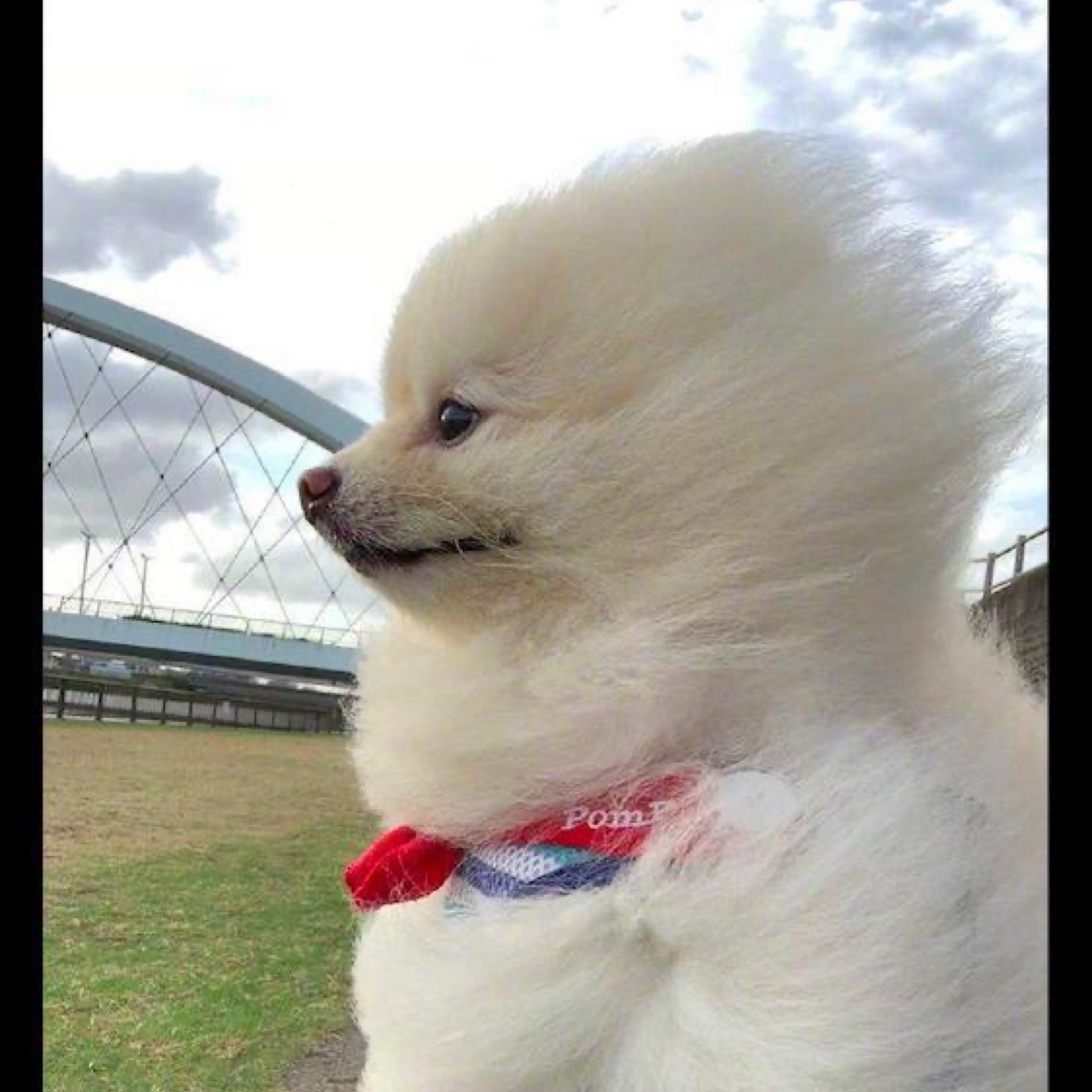 今早刮什么妖风,赶脚一圈跑下来都是迎面吹滴