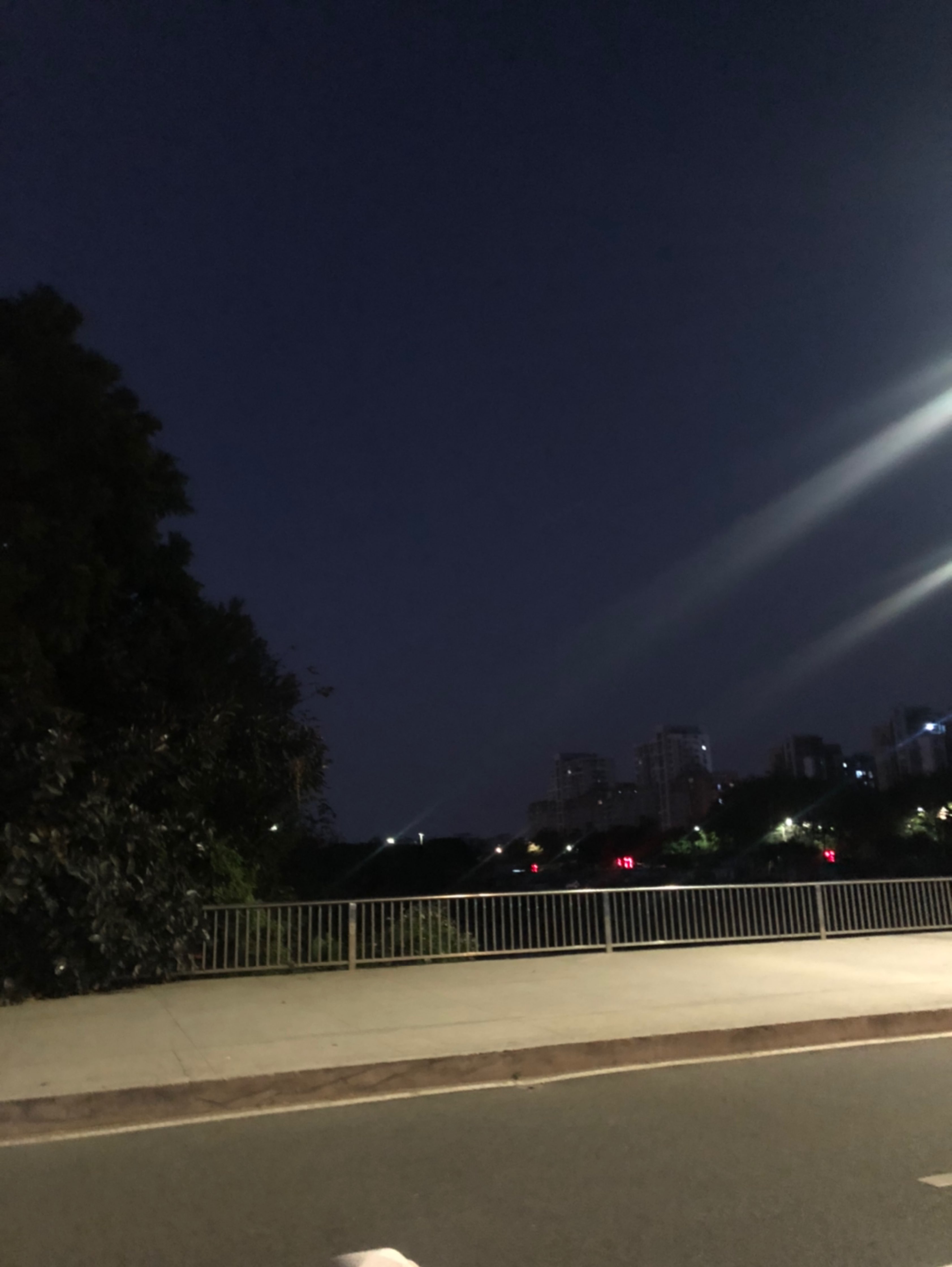 精彩动态