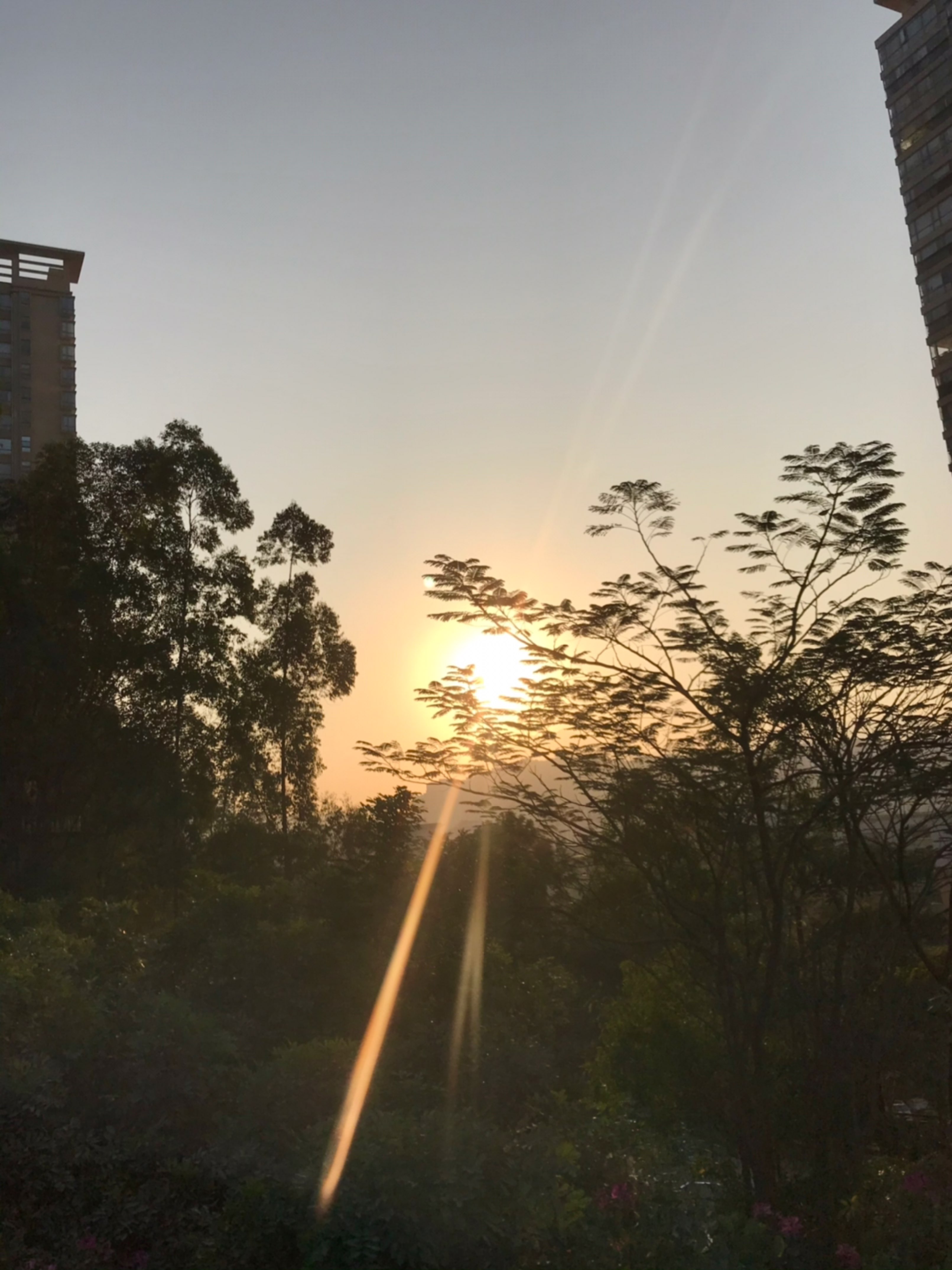 喜欢迎着初晨的光跑,阳光洒落你身上仿佛一切重生.