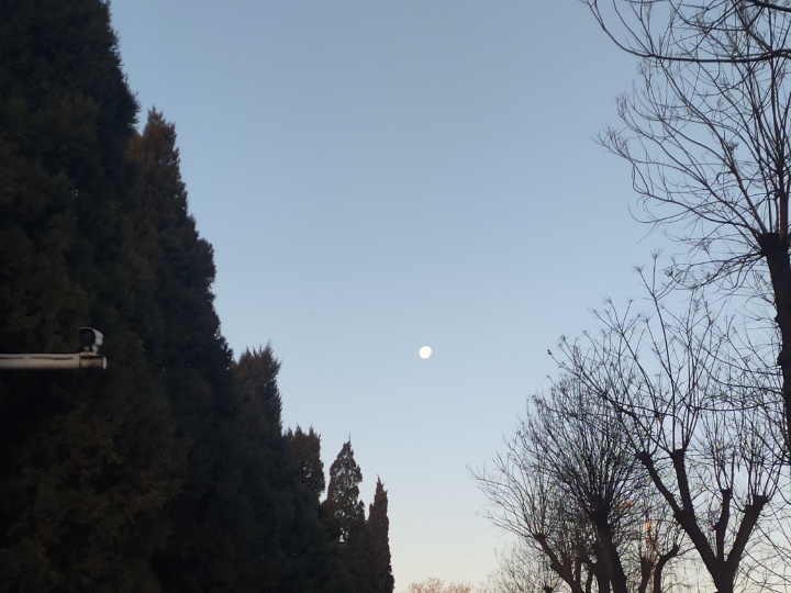 早晨八点钟的月亮和太阳