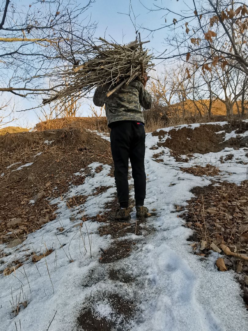 引体15,今天在山上捆柴,估计这周的目标难以实现了.