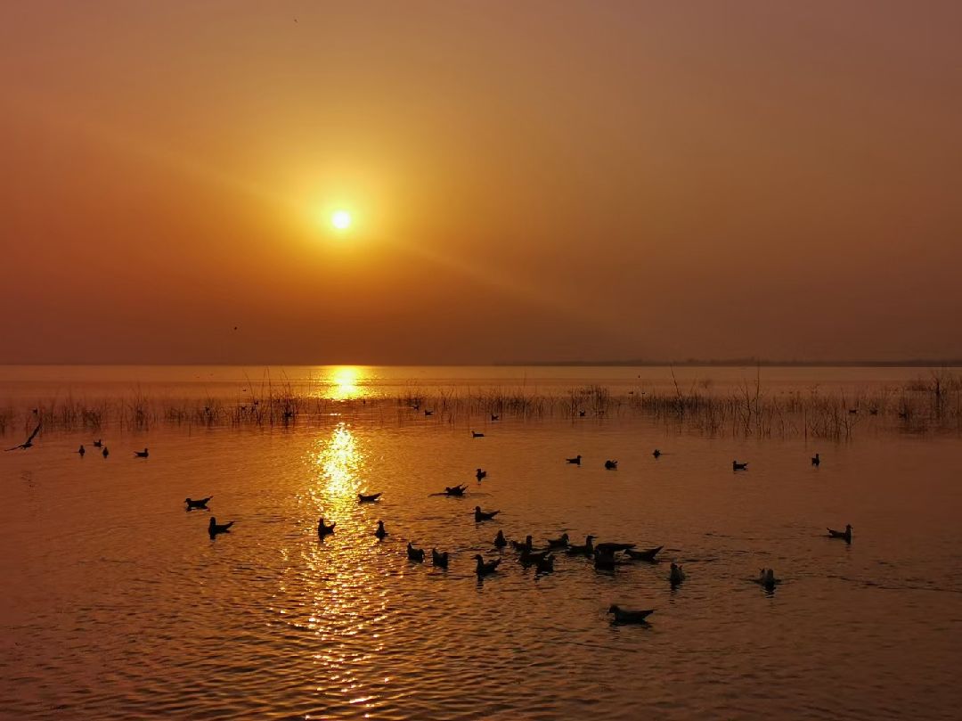 晨跑第881天 跑步会让人进入一种忘我的境界也忘记了世界 早安!