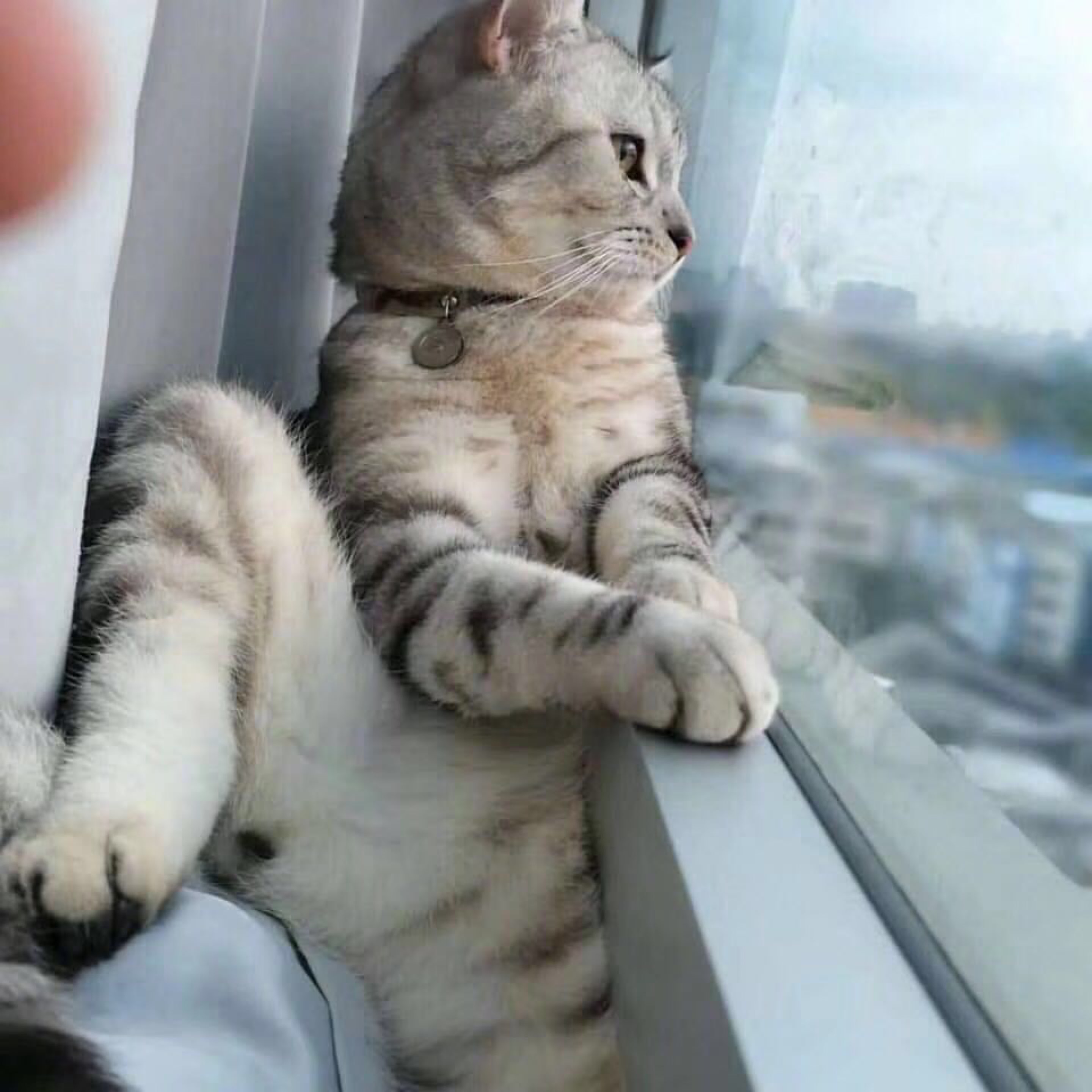 每天就着行走当运动吧