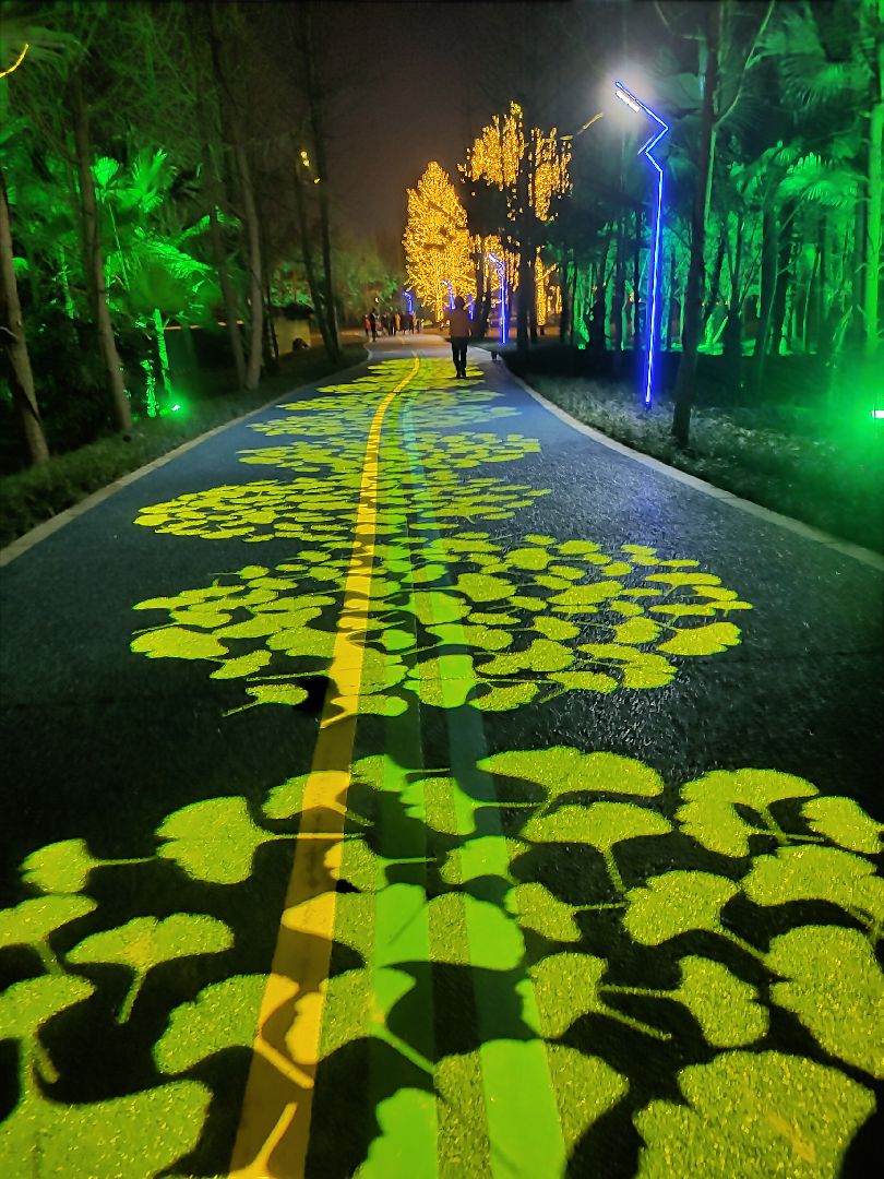 新绿道打卡10k,完美夜景