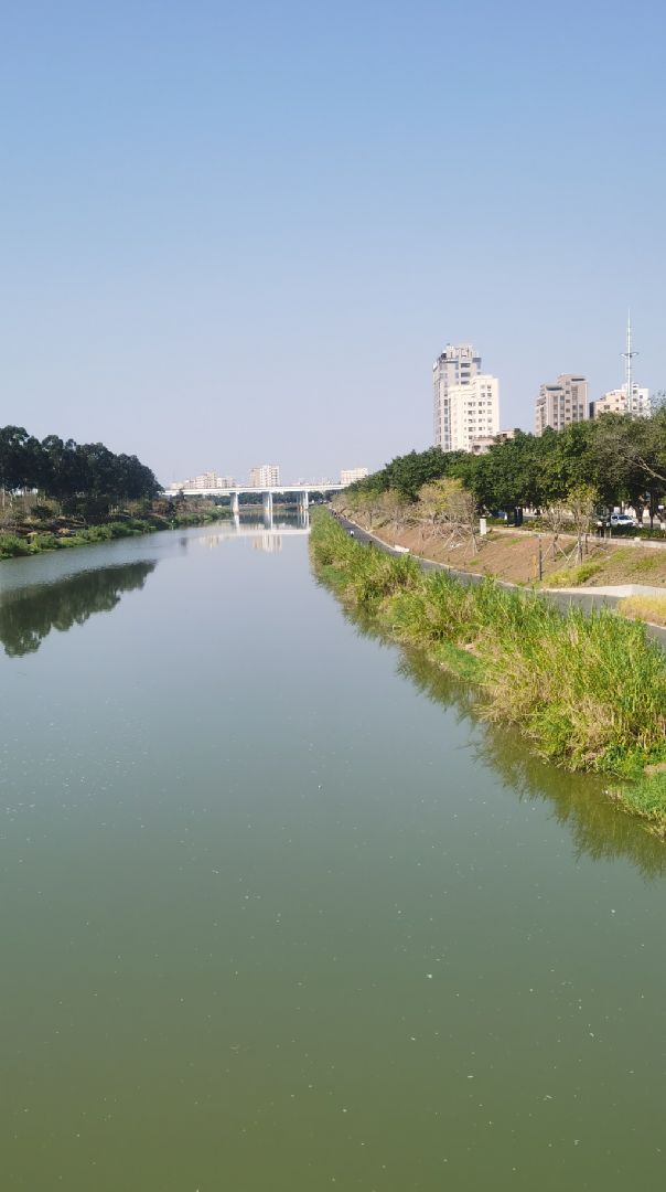 最美深圳光明茅洲河绿道适合半马,全马!