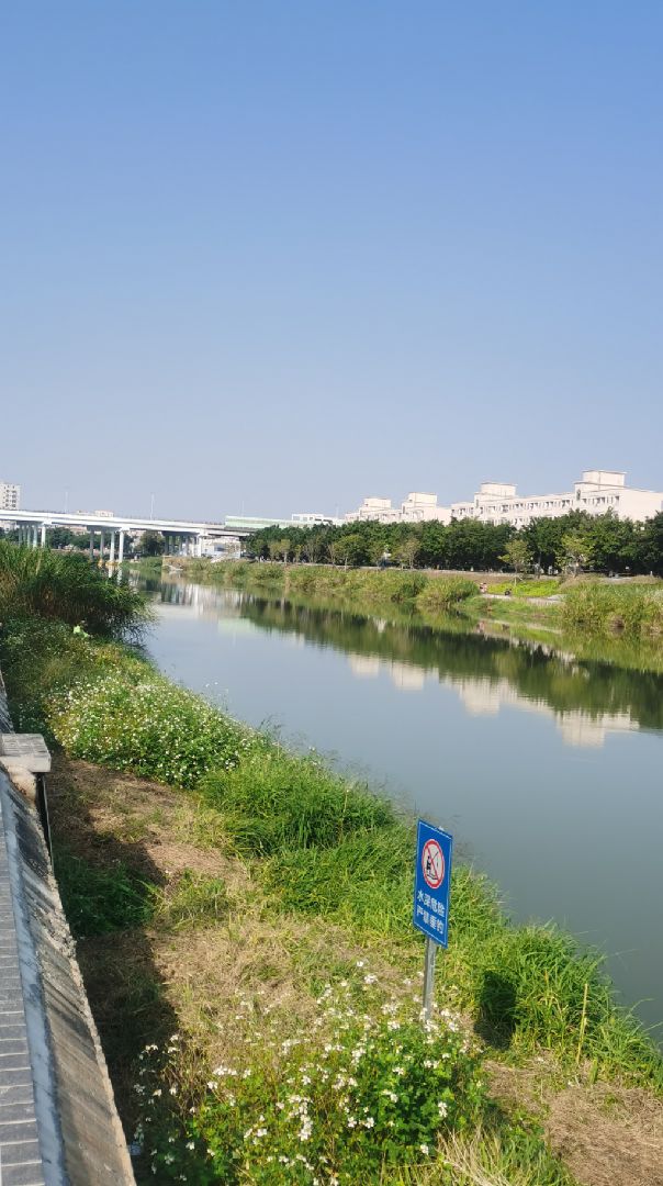 最美深圳光明茅洲河绿道适合半马,全马!