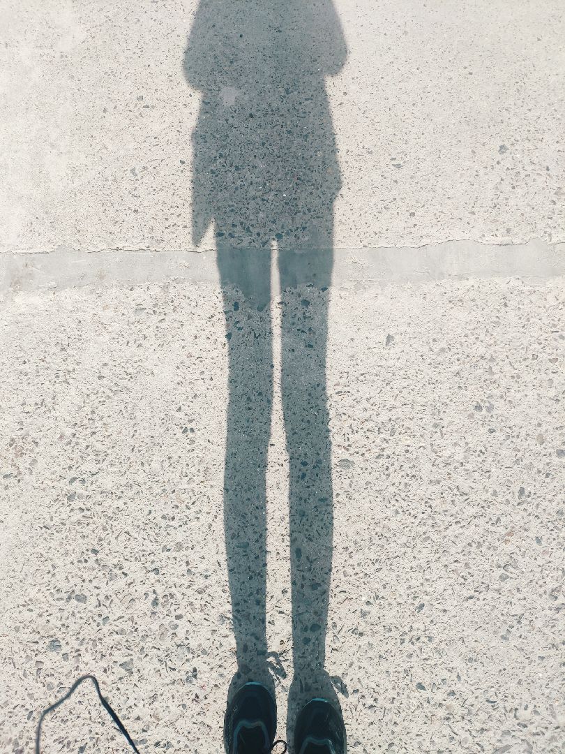 是想成为影子的一天