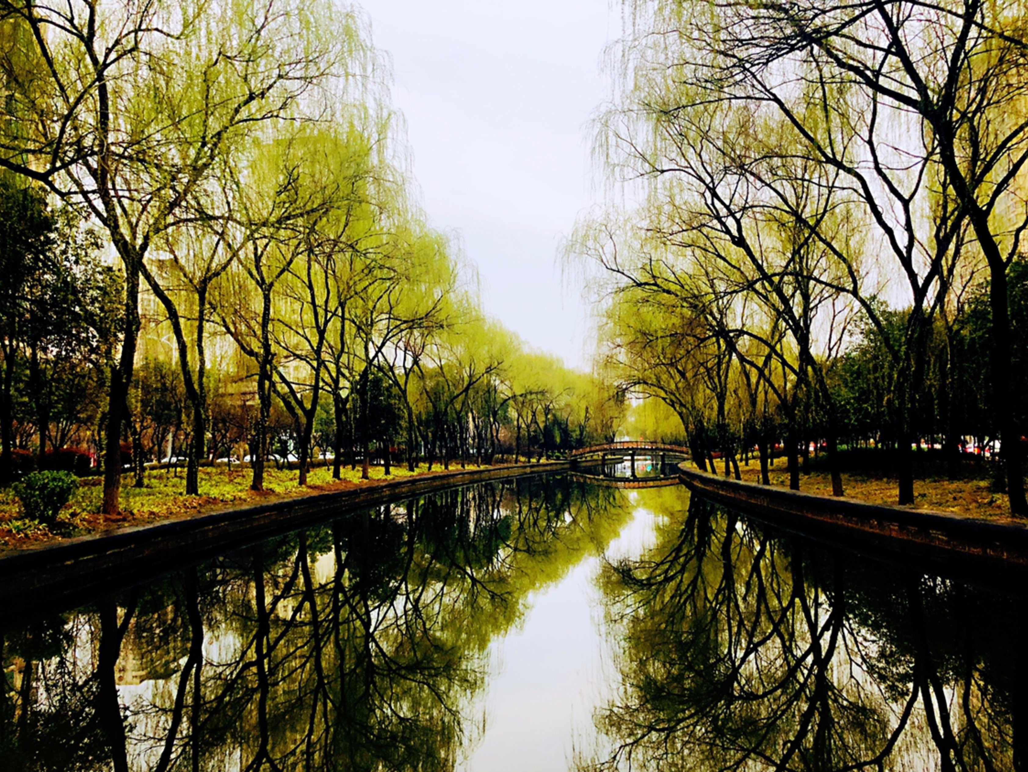 3月1日新的开始,美好的一天从发现美景开始走路找带