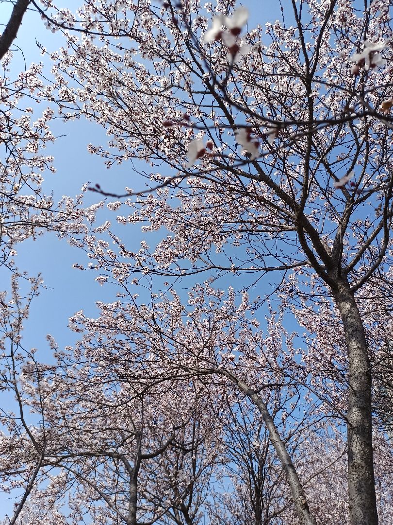 春天来了动起来