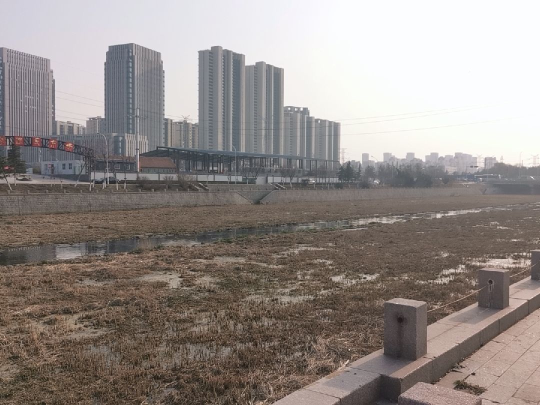 春天的张村河宛如一条臭水沟,两岸都是小飞虫,跑步计划何去何从