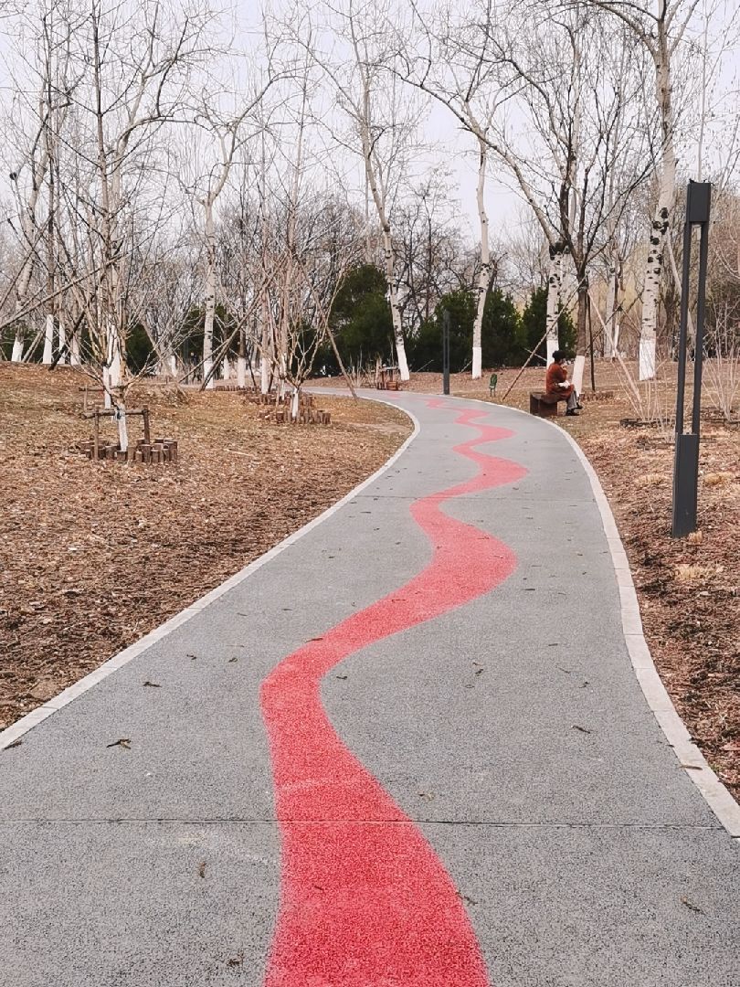 莲花池公园跑步图片