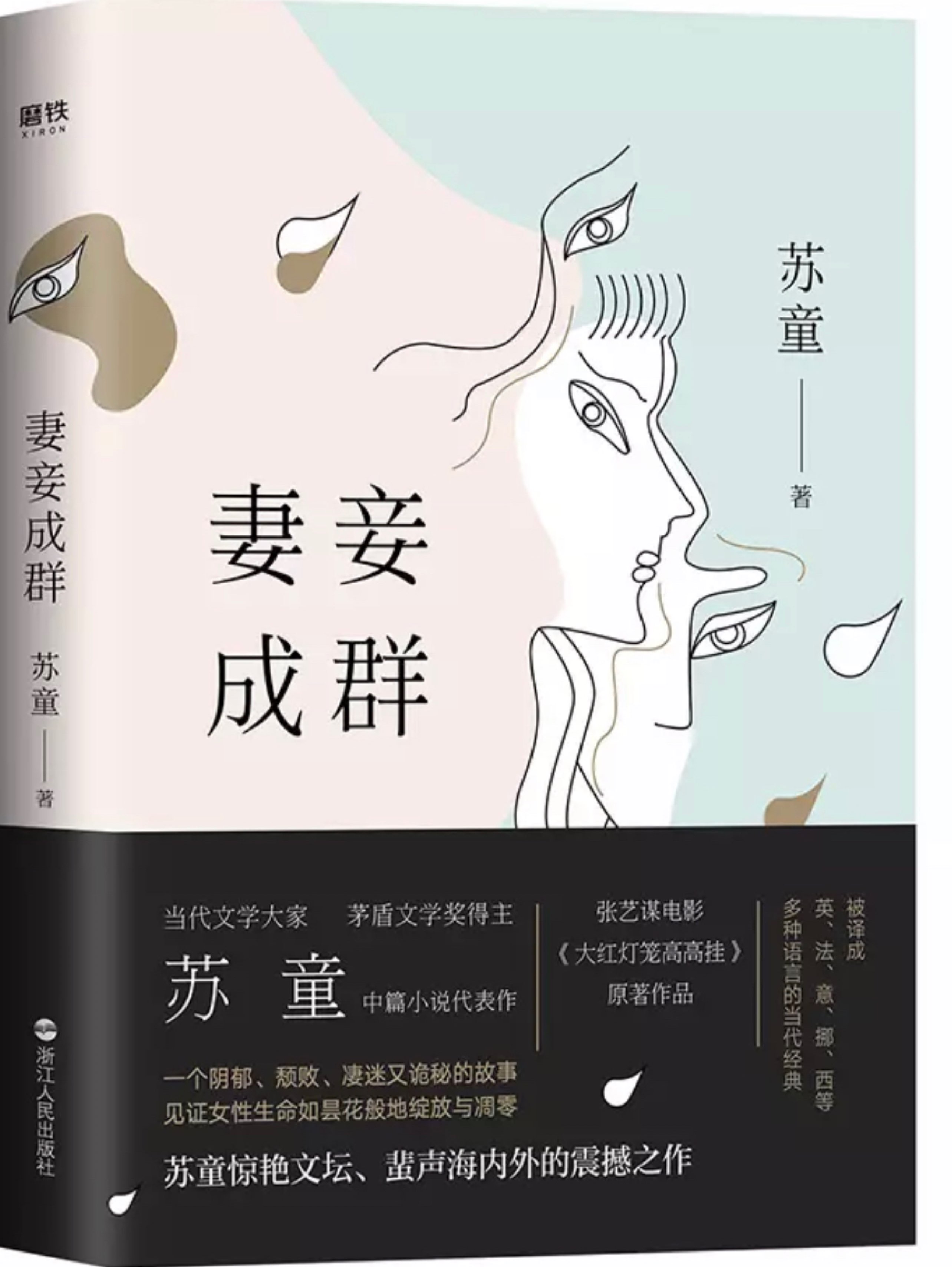 22/100《妻妾成群》-作者苏童是当代文学大家苏童的成名代表作,小说