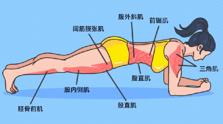 女性膀胱下垂图 下坠图片