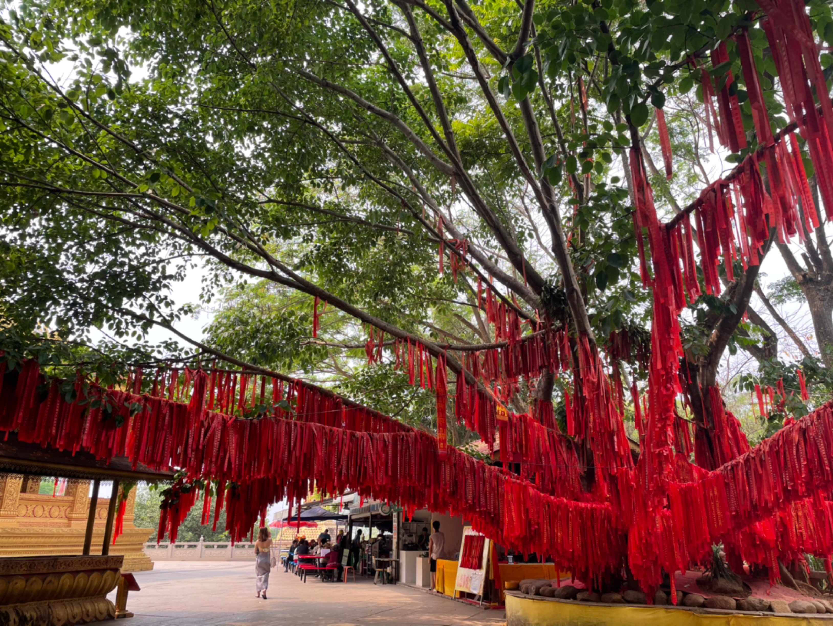 天热坐电瓶车上山步行下山,了解了相关佛文化,不寺庙祈福图片寺庙
