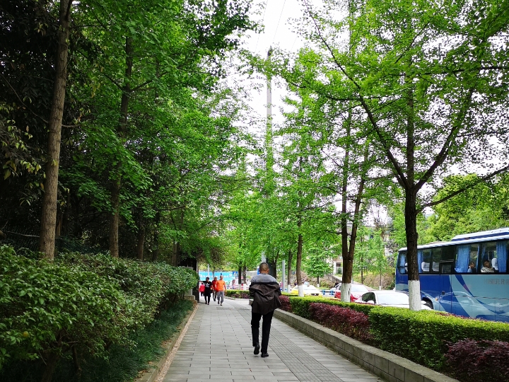 大渡口双山公园,美德公园,大渡口公园,双山公园一个环线,完成任务,给