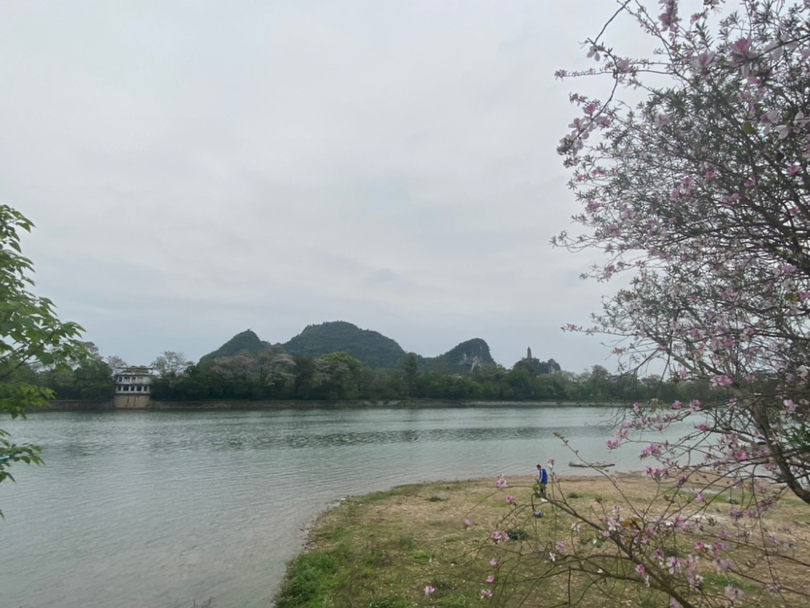 春风又绿"漓江"岸