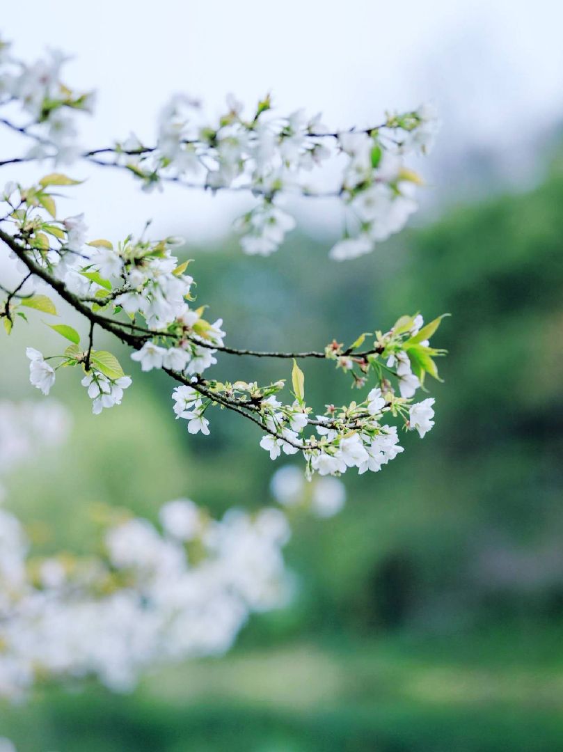 万物生长的春天适合多发现些美好的存在.比如:"我"!