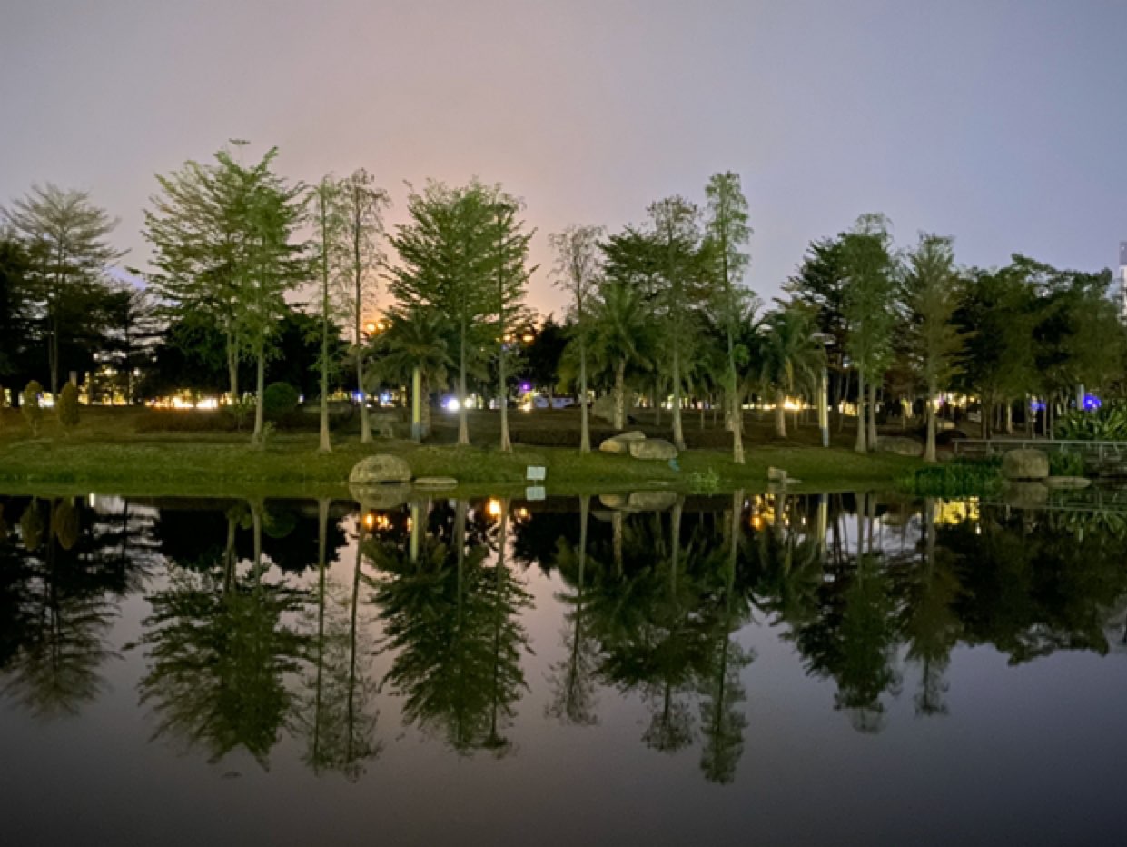 02公里, 31分31秒  完成 角美湿地公园 精彩动态 腿后侧拉伸的动作,不