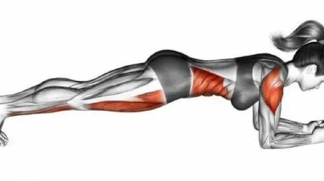 平板支撑.加油!更好的自己!