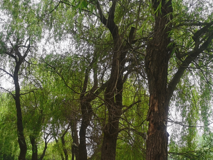 美美的中年妇女小凡凡的动态_keep