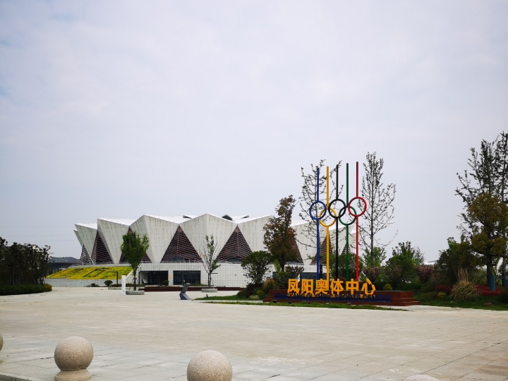 想有一个自行车