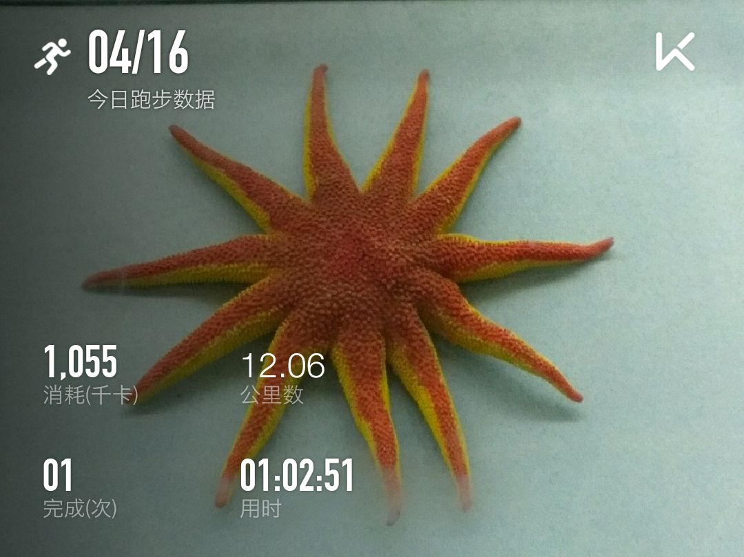 梧桐花开的季节如好运星相伴一切都会向阳而生美好都如约而至小伙子加油 Keep