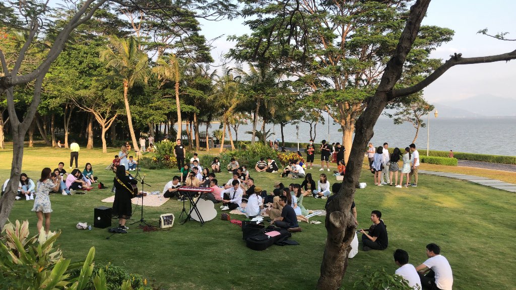 今天在深圳湾运动公园邂逅一场户外音乐会小姐姐唱的真好听把这首光唱