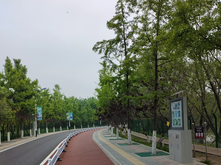 晨跑八公里,相约在南湖,跑步过程中发现湖面一个飞谍型的物体,难道是