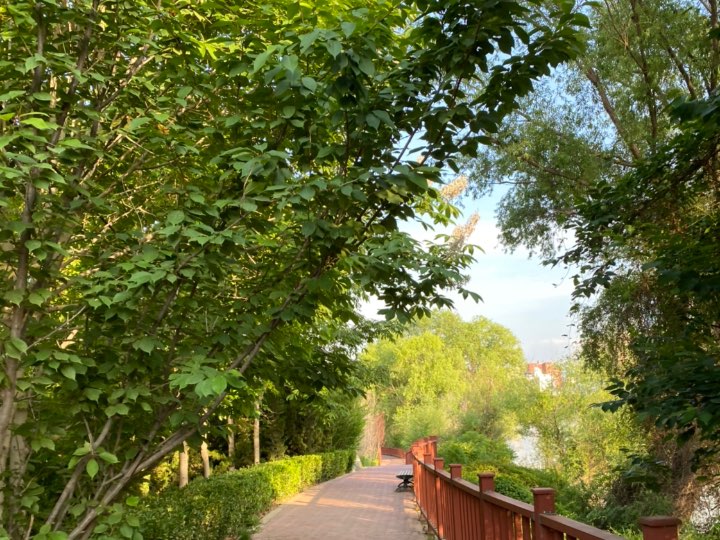 这步行道太漂亮了