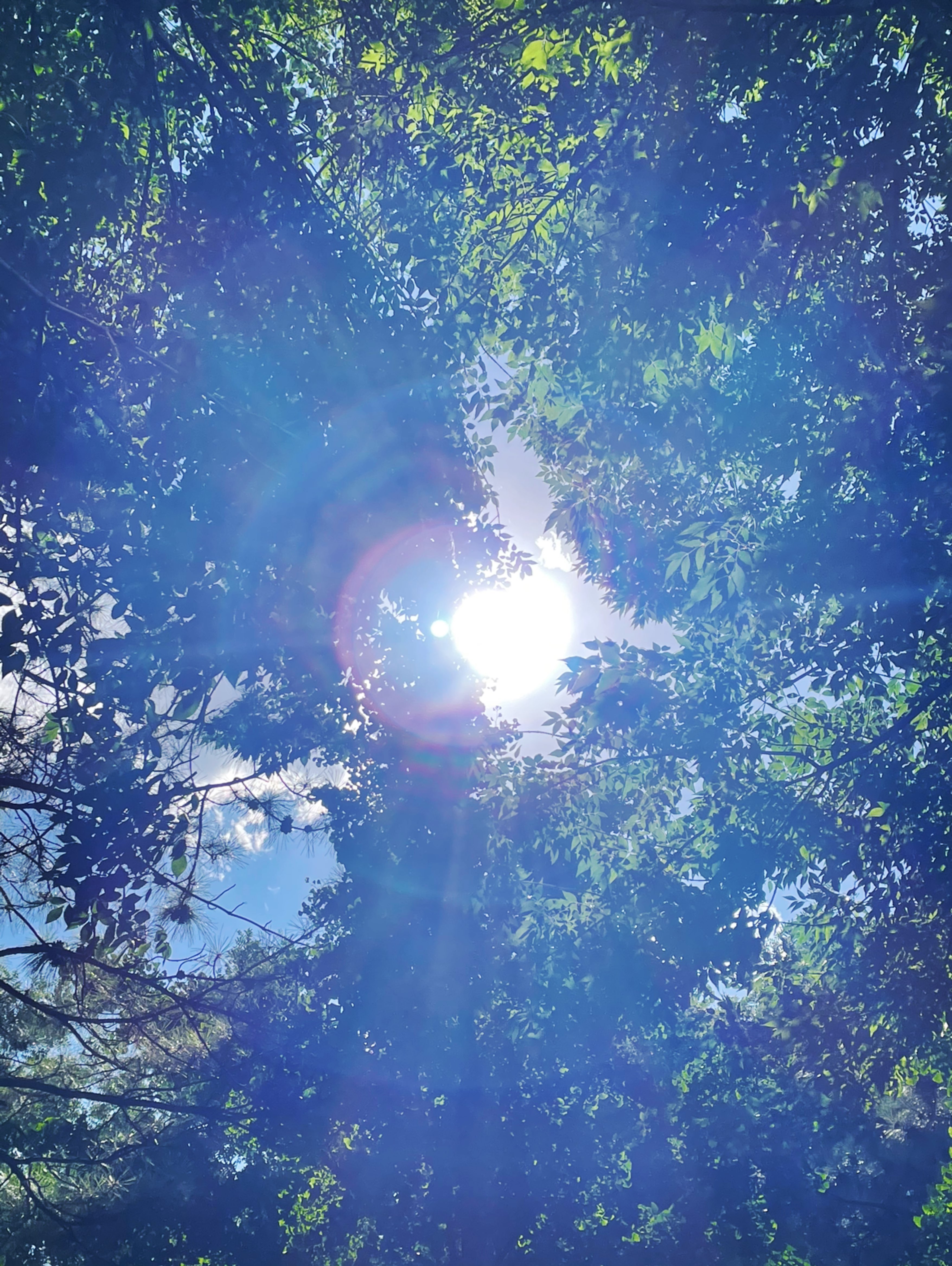 今日是烈日下的跑步6月跑步难啊_keep